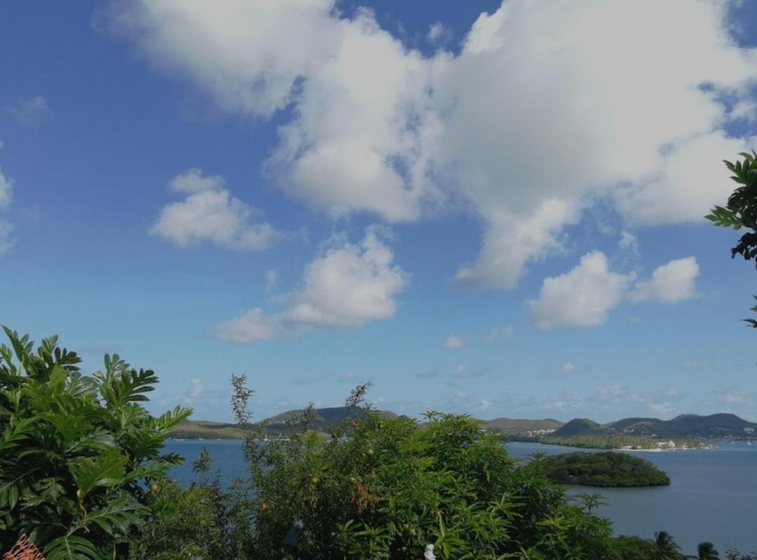 F2 Familial - Vue Imprenable Sur La Baie Du Marin Lägenhet Le Marin Exteriör bild
